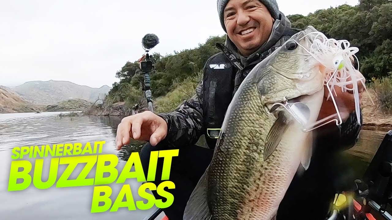 Water level raise - Bass in the tree tops, Large Mouth Bass