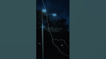 ياسر الدوسري سوره النمل الم يروا انا جعلنا الليل ليسكنوا فيها