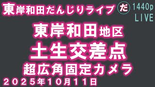 東岸和田だんじりライブ 土生交差点 超広角レンズ撮影 混雑具合確認できます 2025年10月11日