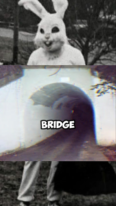 The Bunny Man Bridge 🤯 #shorts