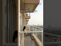 Balconies that catch the Veer’s light, where ordinary days rise heroic. ✨🏡 #mahavirenclave