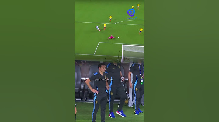 La insólita reacción de Lionel Scaloni al gol de Lautaro Martínez ante Colombia en la final