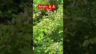 #reflexão #paisagemnatural #meditação #naturezasurpreendente #bomdia