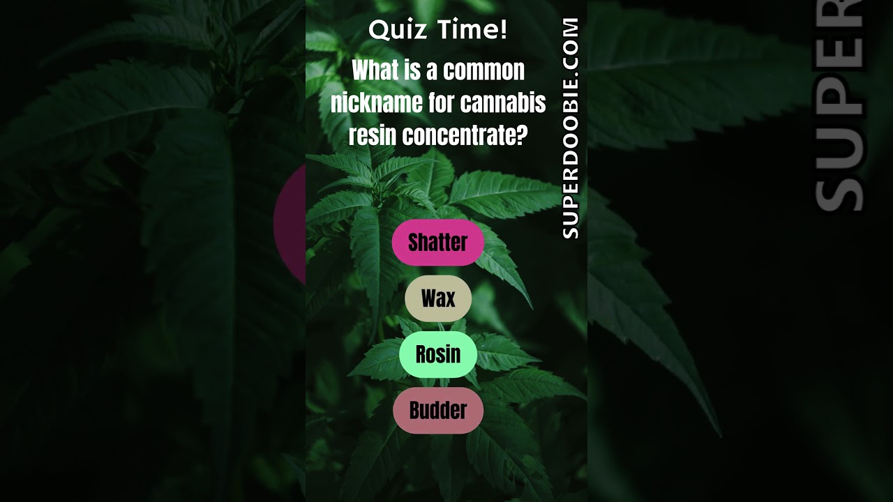 #Quiz