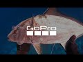 pesca submarina en Canarias