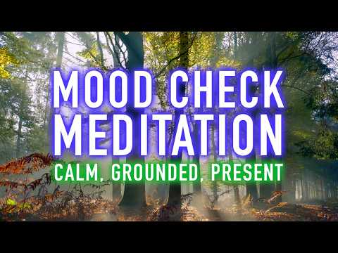 Guided Meditation: 5 Minute Mental Reset & Mood Check (5 Minutes Spoken)