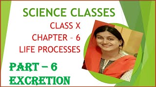 Cl X Science- Chapter 6 - Excretion