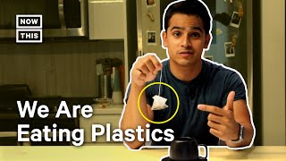 Plastics in Food: 5 Everyday Foods High in Microplastics