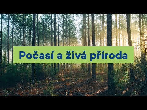 Video: Odkud pocházejí informace o počasí?