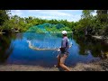 What lives in this little pond? {Let's find out!} Cast Netting 1000's of fish