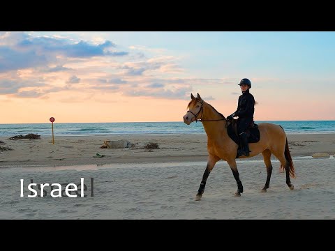 Video: Weer in Netanya in januari