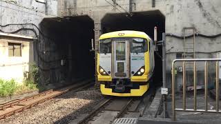 E257系500番台ホリデー快速鎌倉通過　新小平駅にて