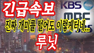 [루닛 주가전망]  무조건 좋다 냅둬라