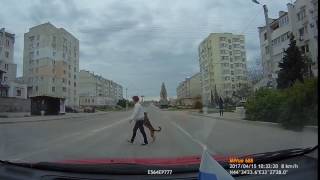 в Севастополе пса водят через дорогу за лапу
