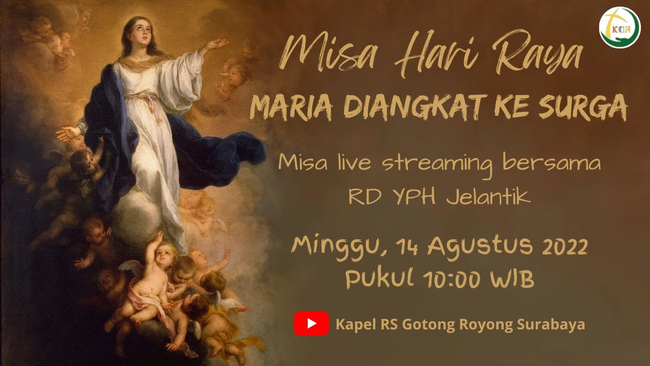 YouTube player