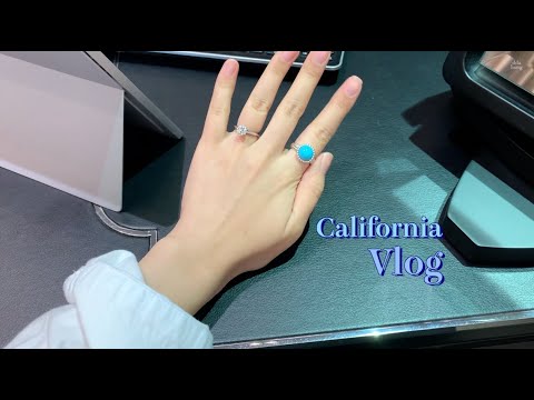 (eng) 미국일상브이로그, 폴로 데일리 패션, 반클리프아펠, 서점가기, 장작소리 카페 스터디윗미, 젤라또 맛집