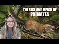 The Rise and Reign of Primates | Purgatorious and Plesiadapiforms