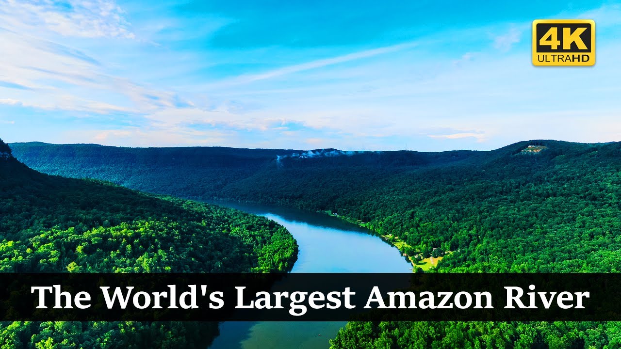 Exploring the World's Largest Amazon River Journey in the Rainforest