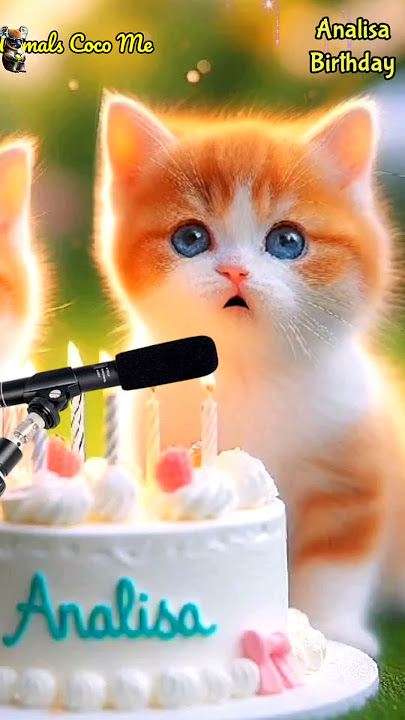 HAPPY BIRTHDAY TO YOU ANALISA | HAPPY BIRTHDAY SONG WITH NAMES | Adorable Cute Cat 😺 #cat #cute
