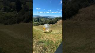 Would you get in a Zorb?? 🇳🇿 Rotorua, New Zealand