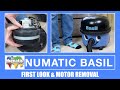 Numatic basil vacuum cleaner first look  motor removal