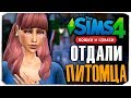 ОТДАЛИ ПИТОМЦА! КАК?- The Sims 4 "Кошки и Собаки" ▮