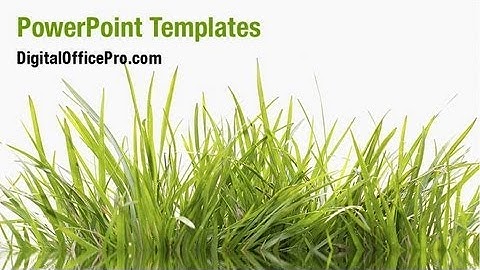 Nature Grass PowerPoint Template Backgrounds - DigitalOfficePro #05336W