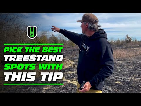 TIP FOR PICKING