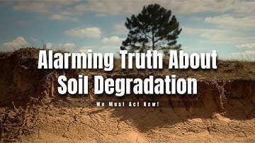 Alarming Truth About Soil Degradation – We Must Act Now!