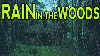 🎧 RAIN SOUNDS IN THE WOODS | Ambient Noise For Sleep, Relaxation and Studying | @Ultizzz day#9
