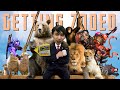 WE ARE GETTING ZOOED (SingSing Dota 2 Highlights #1555)