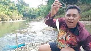 Setraiik Ikan Cencen Babon Telun Kenas