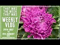 Weekly Vlog - August 2021 - WK#1