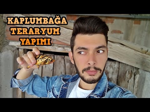 Video: Bir Kara Kaplumbağası Için Teraryum Nasıl Yapılır