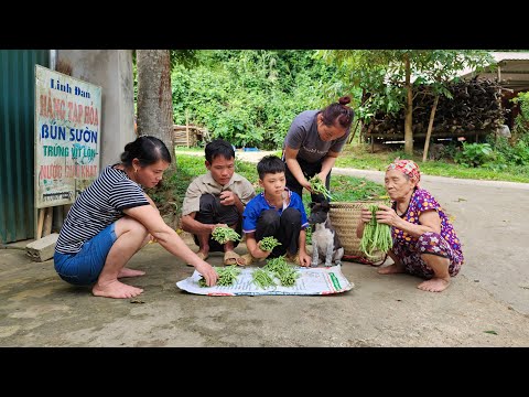 Orphan boy - Picking young beans with his dog, selling them, getting money to buy meat for cooking