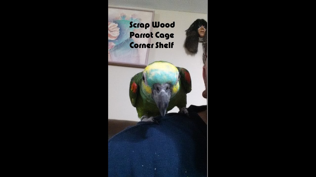 bird cage corner shelf