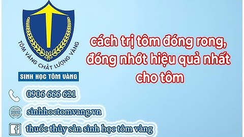 TRỊ TÔM ĐÓNG RONG NHỚT NHANH CHÓNG VÀ HIỆU QUẢ NHẤT