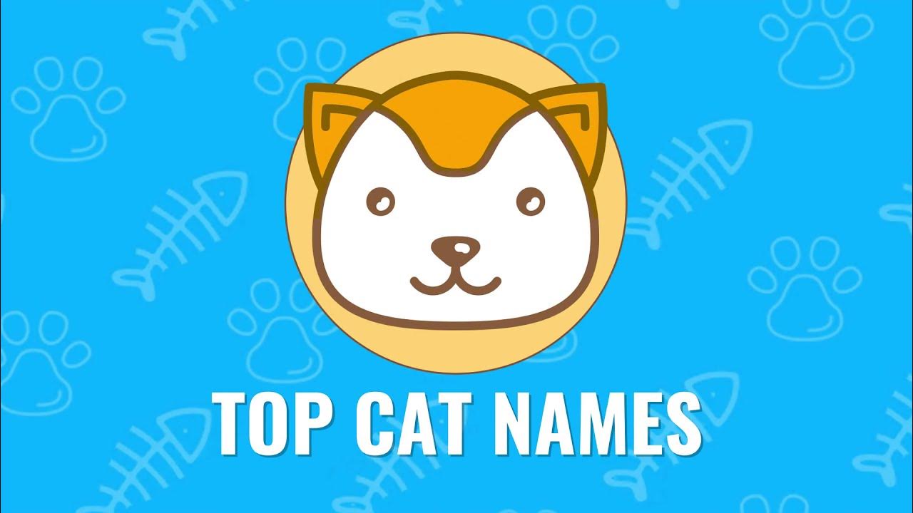 Имя кэт. Топ кат. Top Cat. Cat names.