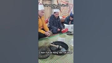 Thầy Mo văn quan làm lễ tễ xuồng #nôngvăntới #shortsvideo