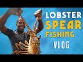 Lobster & Spearfishing VLOG! Lyssons, Jamaica