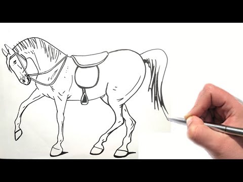 Cavalo Realista  Desenhos realistas, Raposas desenho, Desenho