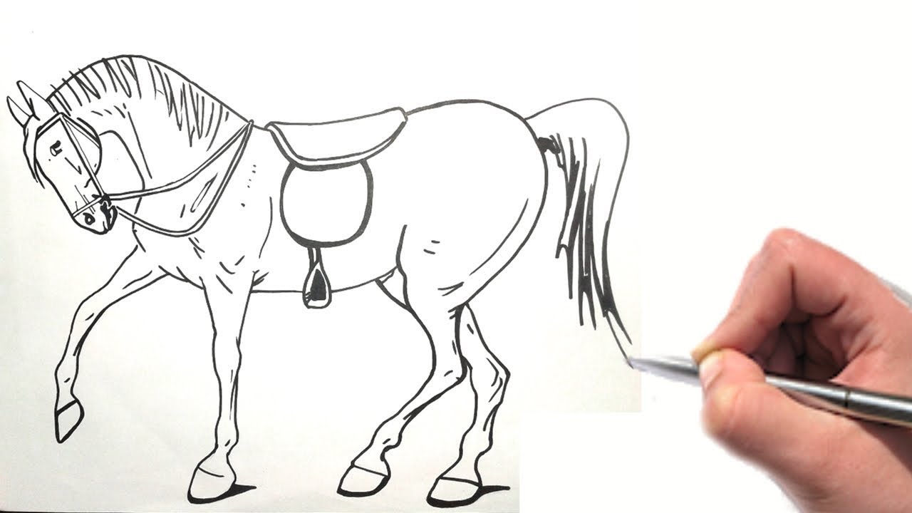 como desenhar um cavalo  Estilo vaquejada!! 🐎🐎 