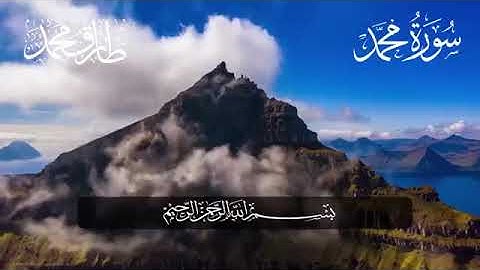 أجمل تلاوة سورة محمد- طارق محمد