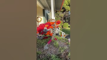 Nerf N Strike Crimson Red Vulcan EBF 25