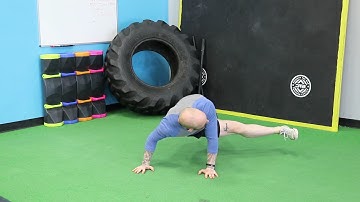 Pushup Position Side Kick Throughs