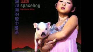 Video thumbnail of "Spacehog - Anonymous"