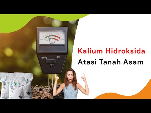 Video: Apakah kalium menurunkan pH?