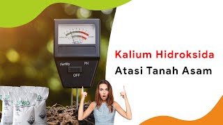 Kalium Hidroksida Alternatif Dolomit Atasi Tanah Asam, Naikan pH Tanah