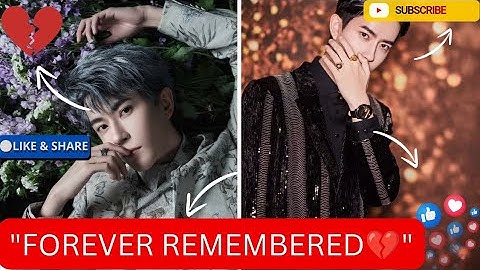 Yu Meng Long: Forever Remembered by Fans Worldwide