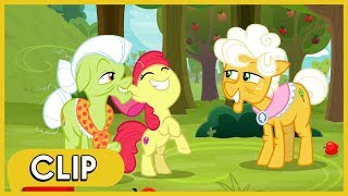 Apple Bloom Tries to Catch the Great Seedling - MLP: Friendship Is Magic [Season 9]